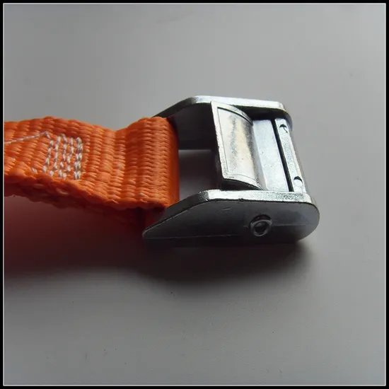 Cam Buckle Strap 