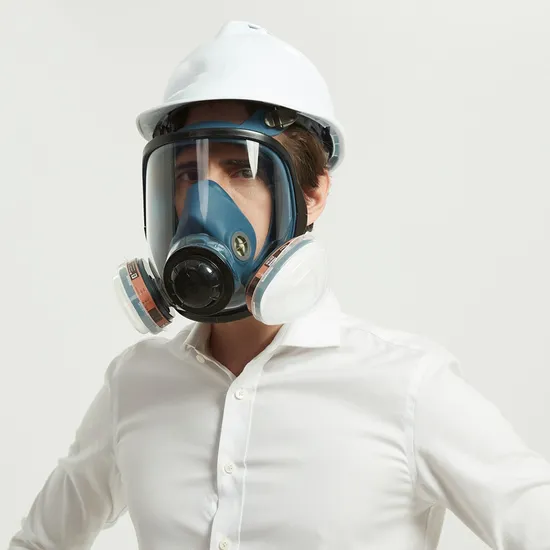 PPE Safety DIY Sanding Painting Eye Protective Respiratory Full Facepieces Gas Mask Double Filter 
